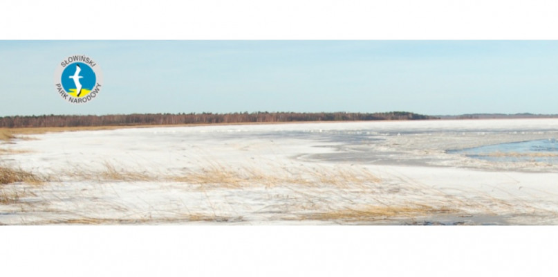 Zostań w domu, nie idź do Parku