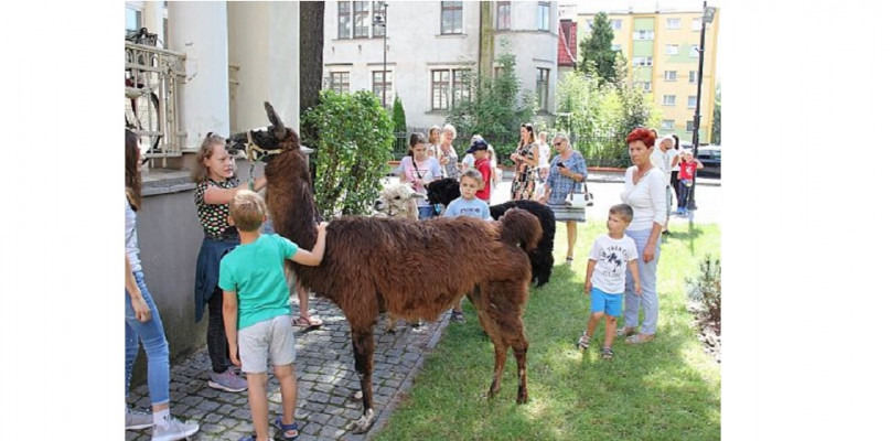 fot.: lebork.pl