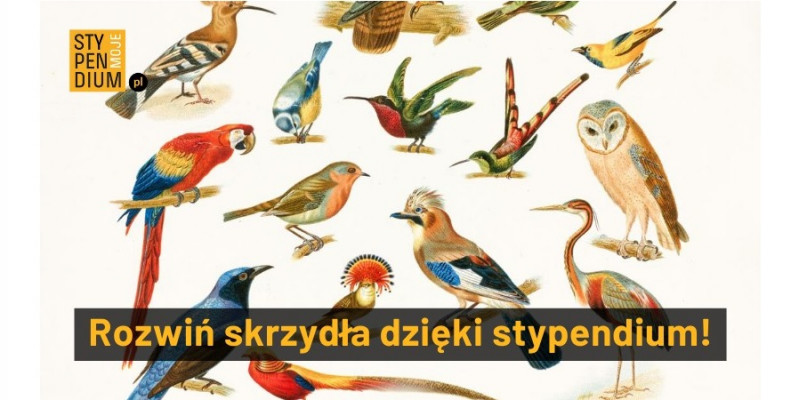 www.mojestypendium.pl