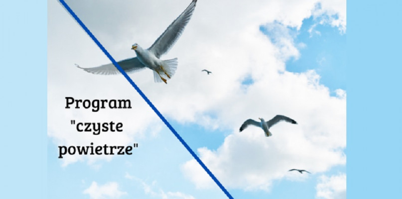 Fot: http://wicko.pl