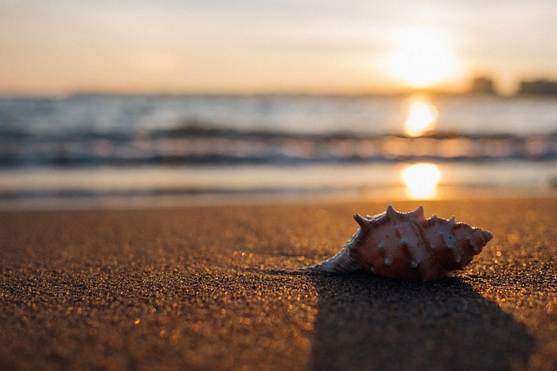 Wakacje Czytelników GLE24