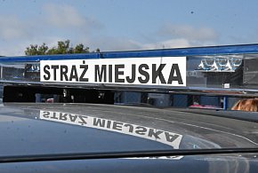 Kombinujesz z piecem? Zapuka strażnik i możesz zapłacić 5 tys. zł kary-15398