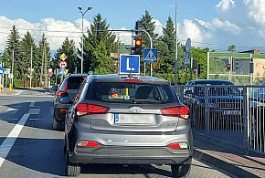 Egzamin na prawo jazdy będzie inny. Od 1 lipca nowe zasady-16340