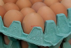 Salmonella na jajach znanej marki. Nie jedz, jeśli masz je w lodówce!-16398