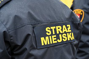 Zapuka strażnik, zapłacisz karę. Ruszyły kontrole w całej Polsce-17055