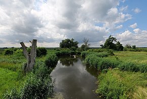 Co dalej z nowym parkiem narodowym? Minister klimatu zdradza plan po wecie-17212