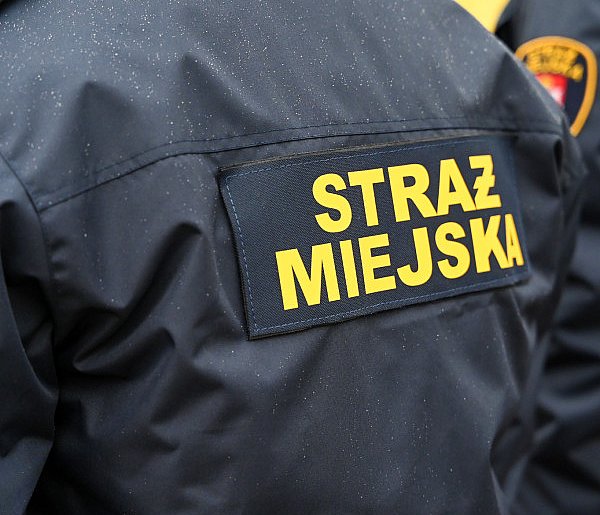 Zapuka strażnik, zapłacisz karę. Ruszyły kontrole w całej Polsce-17055